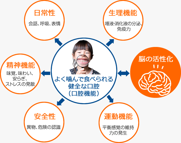 口腔内の状態と脳の関係